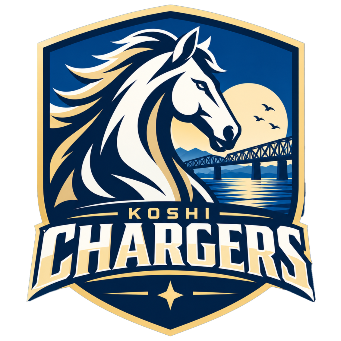 Koshi Chargers